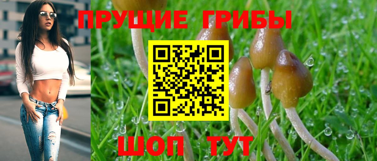 Галлюциногенные грибы ЛСД  Галлюциногенные грибы MAGIC MUSHROOMS  Вход с VPN  Сертолово 